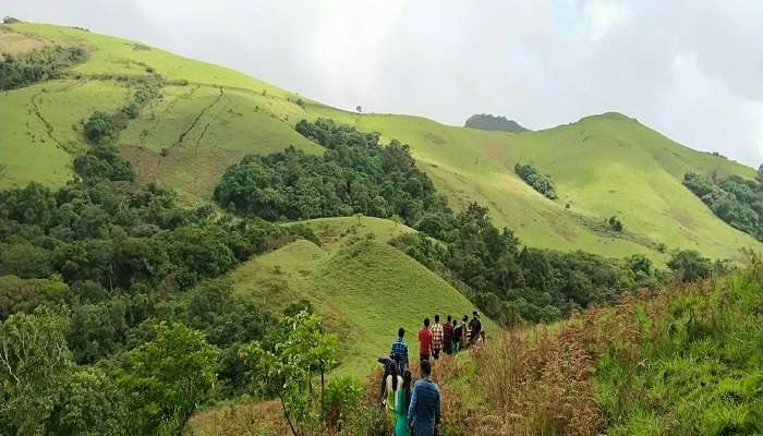 the serene trail for natural walks