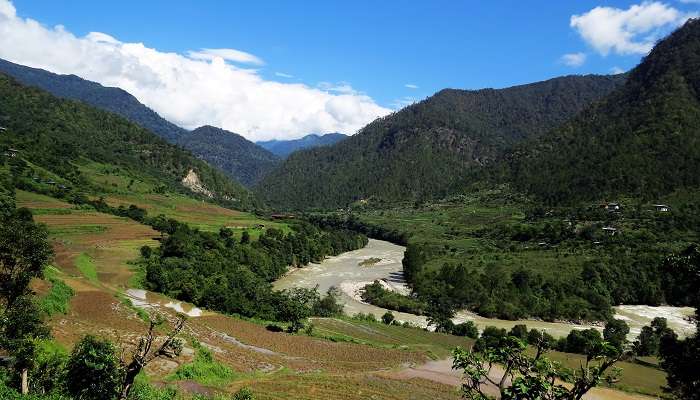 Parc national de Jigme Dorji