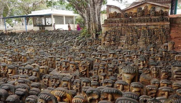 Visit the Vidurashwatha Temple