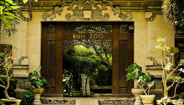 Visitez la zoo de Bali