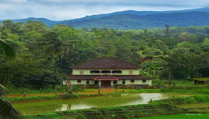 Learn about the weather of Vidurashwatha