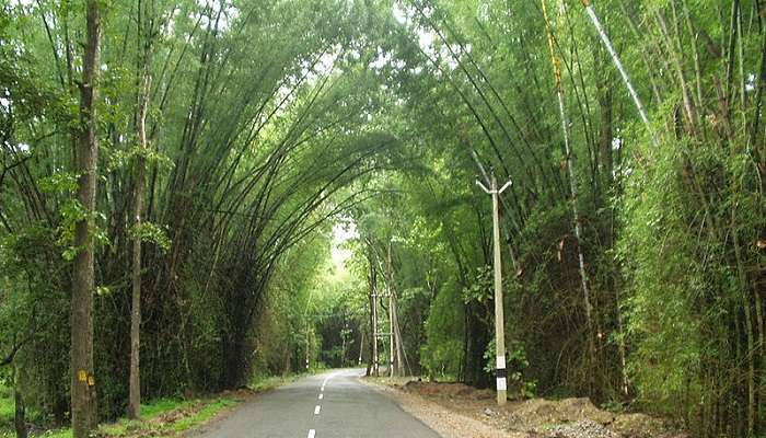 A majestic view of Wayanad