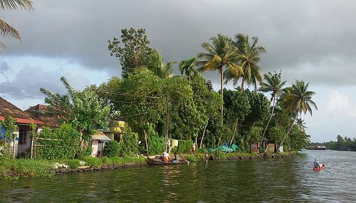 An amazing view of Alleppey