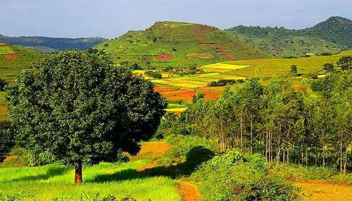 Araku Valley and its lush coffee plantations are the perfect place to visit in South India