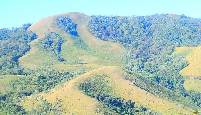 Chikmagalur-Budget-friendly Places to Visit in South India