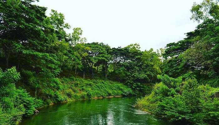 Coorg- Places to visit in South India in November