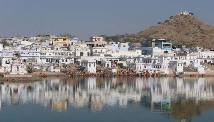 enjoy various festivals.
