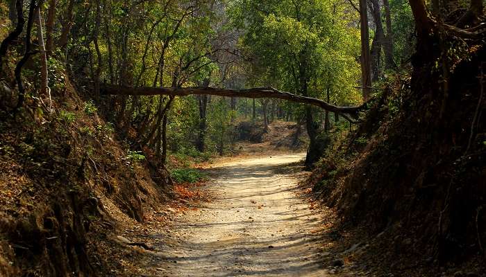 Jhirna is among the best places to visit in Jim Corbett