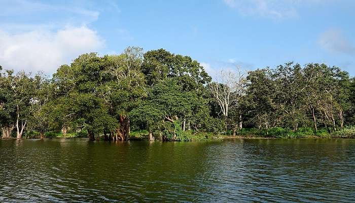 Kabini a best places to visit in Karnataka during december.