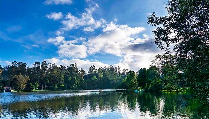 Rivers of Wayanad stunning view