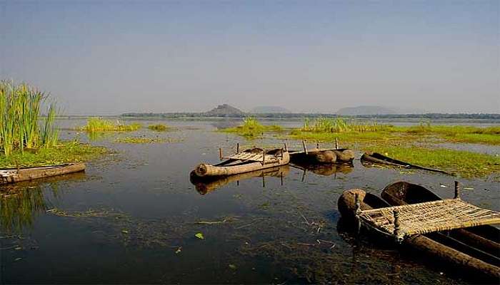 Kondakarla Bird Sanctuary is a bird lover's paradise