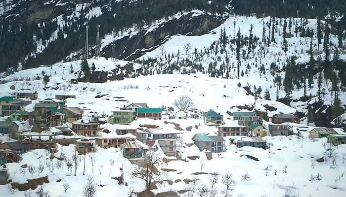 Kothi is one of the places to visit in Kalpa in winter