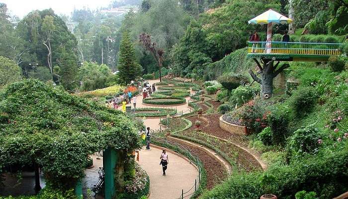 A wonderful view of Ooty