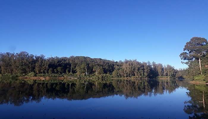 Stunning lake view of Ooty