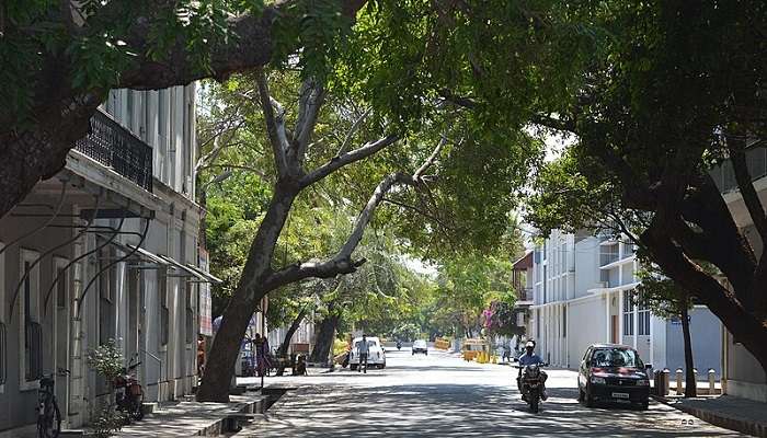 Pondicherry- Places to visit in South India in November
