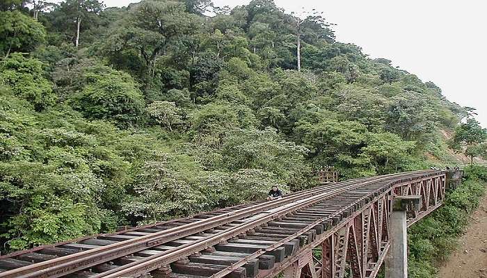 mesmersing beauty of Sakleshpur