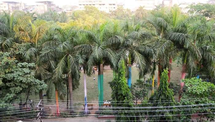 admire the Sapna Garden.