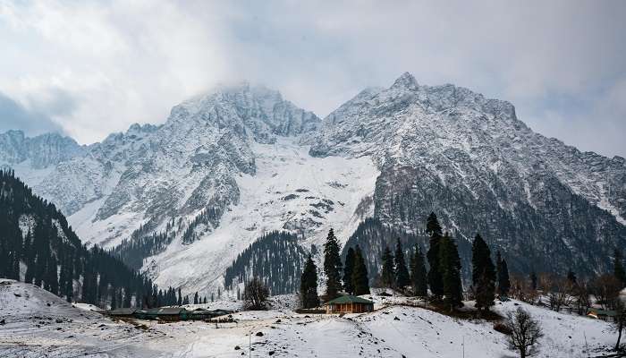 Sonmarg- Kashmir in December