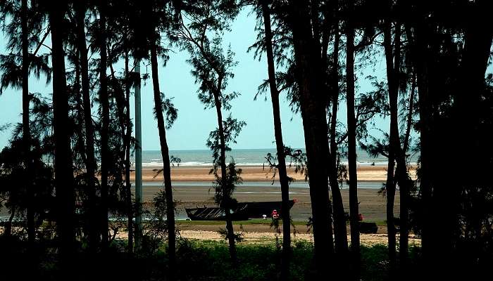 Talasari-Udaypur Beach