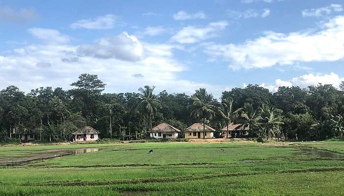 Kabini is one of the top tourist destinations in South India.