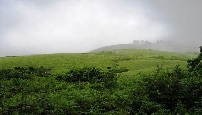 As monsoon rolls in, the rain brings a fresh, green landscape that makes this a perfect place to visit in June