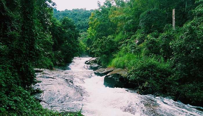 Rivers of Wayanad stunning view