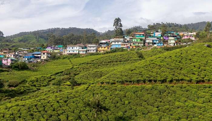 Learn about the weather of South India