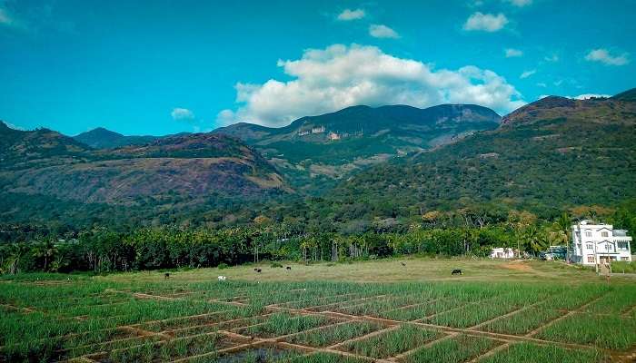 Learn about the weather of South India