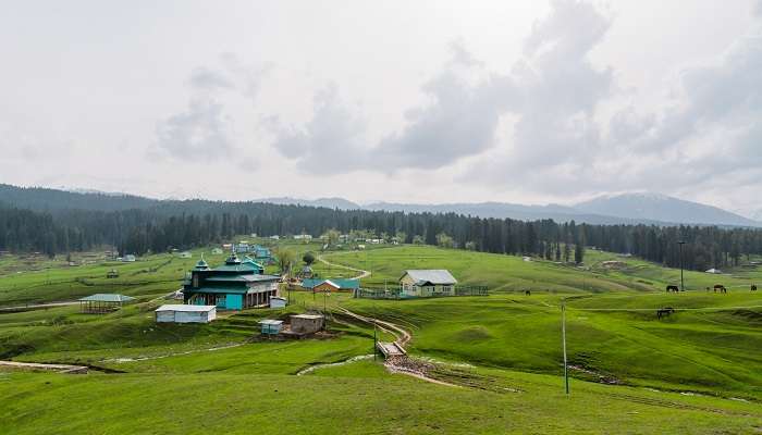 Yashmarg- Kashmir in December