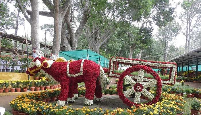 Yercaud- Budget-friendly Places to Visit in South India
