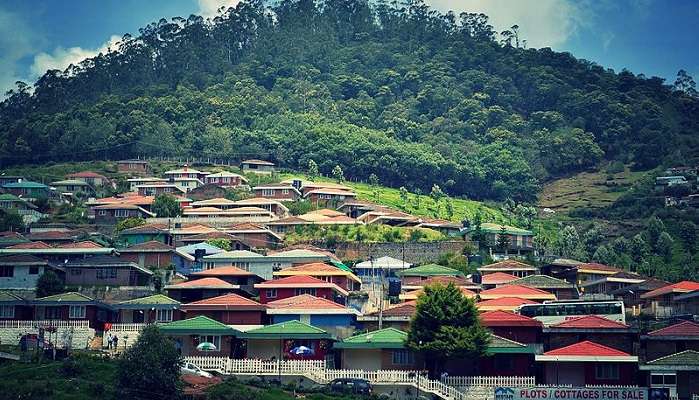 a mesmerising view of Ooty