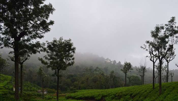 Coonoor is one of the top places to visit in South India.