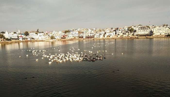 पुष्कर झील भगवान ब्रह्मा के मंदिर के सबसे करीब है और पुष्कर में देखने के लिए सबसे शांत जगहों में से एक है।