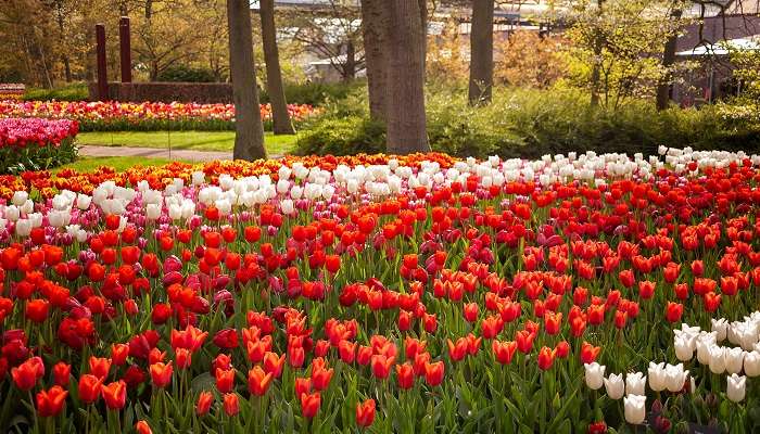 Beijing Botanical Garden is one of the beautiful places to visit in Beijing