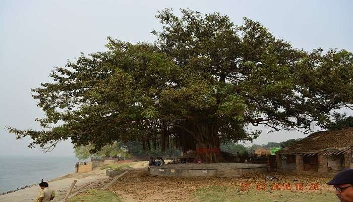 Witness the Colganj Rock Cut Temple in Bhagalpur.