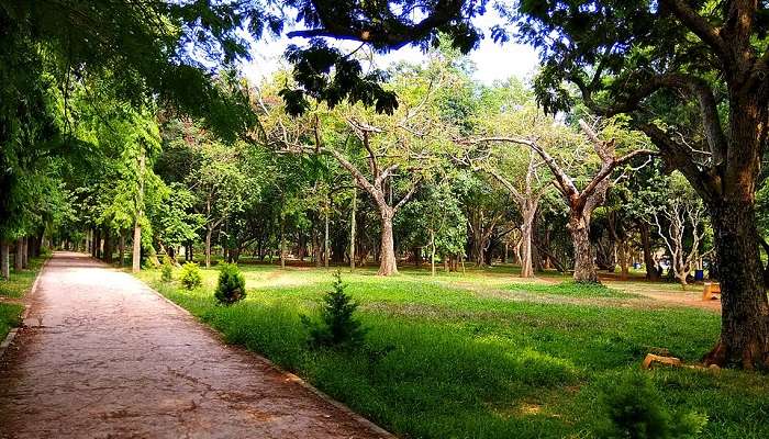 Cubbon Park is among the best places to visit in Bangalore with friends