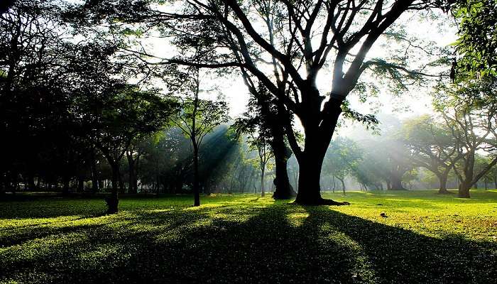 Cubbon Park in bangalore.