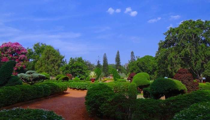 Lush greenery of Lal Bagh