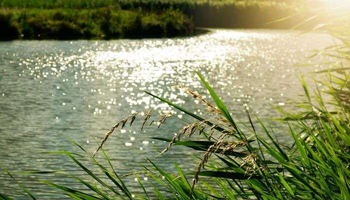 Uksan Lake in Kamshet