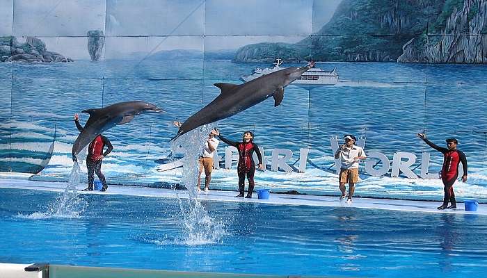 visit Safari World in Bangkok with family.