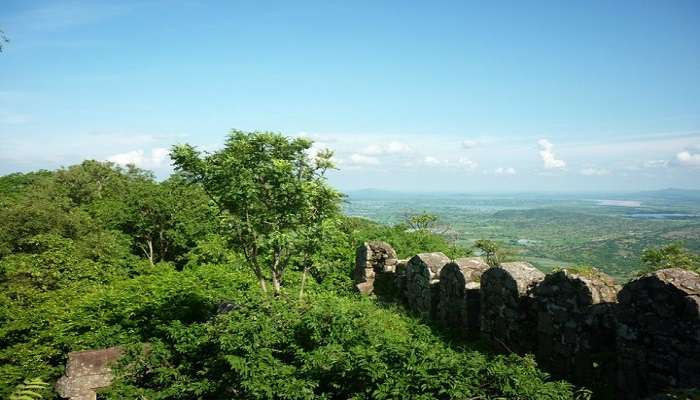 The entire fort is surrounded by lush greenery, creating a serene and relaxing experience
