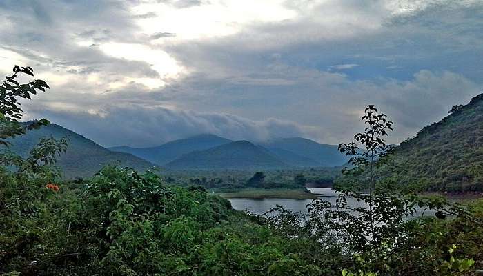 कम्बलकोंडा वन्यजीव अभयारण्य