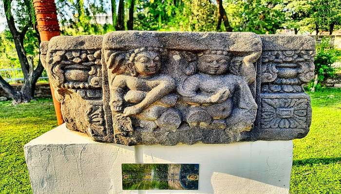 धर्मशाला बस स्टैंड के पास स्थित, कांगड़ा कला संग्रहालय एक शानदार केंद्र है, जो कई शताब्दियों पुरानी तिब्बती और बौद्ध संस्कृति की वस्तुओं को प्रदर्शित करता है।