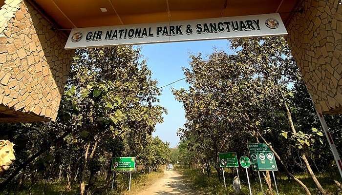 गिर राष्ट्रीय उद्यान