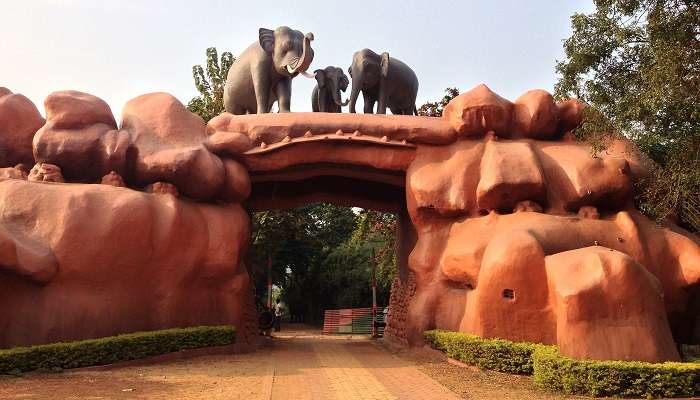 चंदका रिजर्व फॉरेस्ट