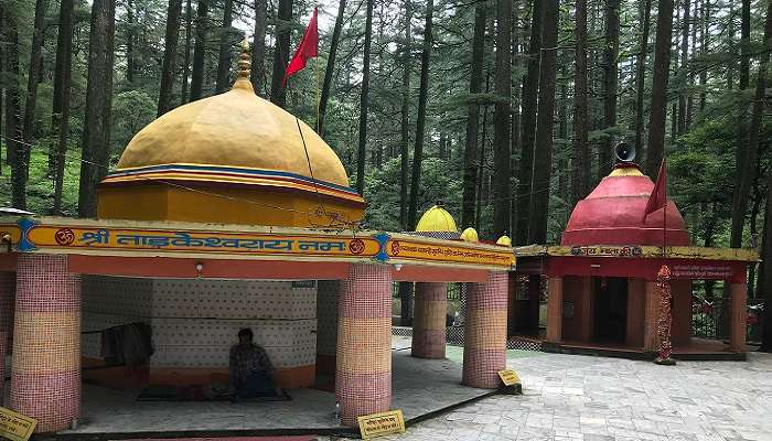 तारकेश्वर महादेव मंदिर: आशीर्वाद लें