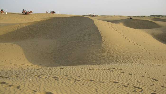 थार रेगिस्तान: बीकानेर ऊँट सफारी दिवस पर्यटन