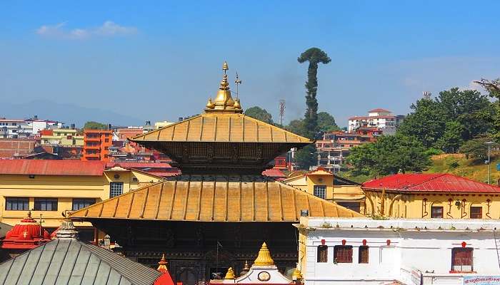 यह हिंदू मंदिर आपको धार्मिक भावना से भर देगा। बागमती नदी के किनारे स्थित, मंदिर में प्रवेश करके हिंदू दाह संस्कार को सभी रीति-रिवाजों के साथ देखा जा सकता है