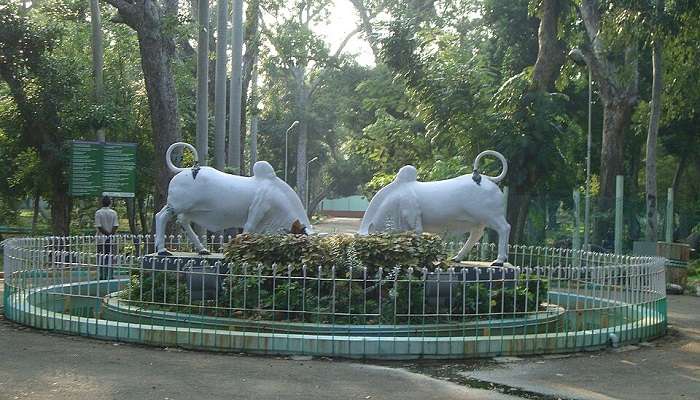 पांडिचेरी बॉटनिकल गार्डन