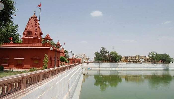 प्राचीना संग्रहालय: कलाकृतियाँ देखें